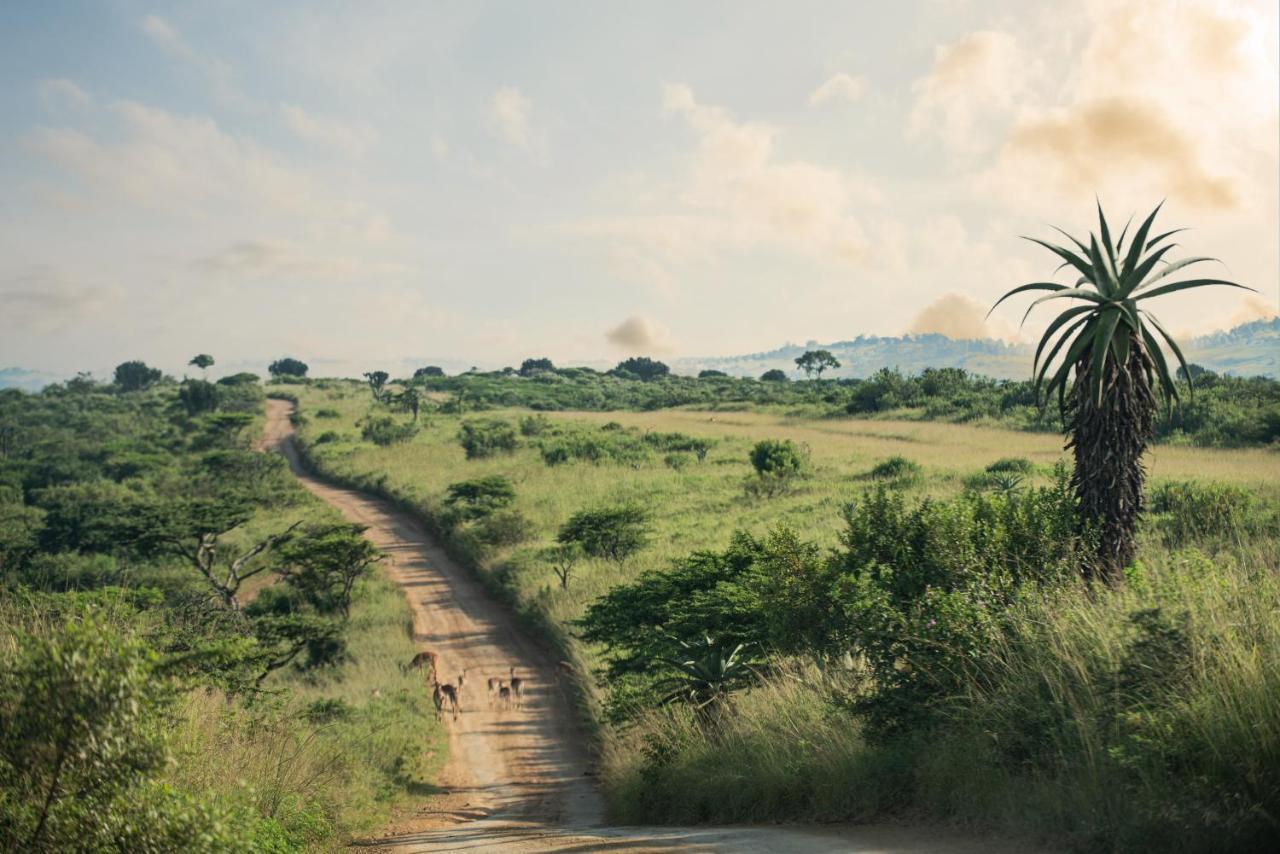 Tala Collection Game Reserve Silverton Luaran gambar