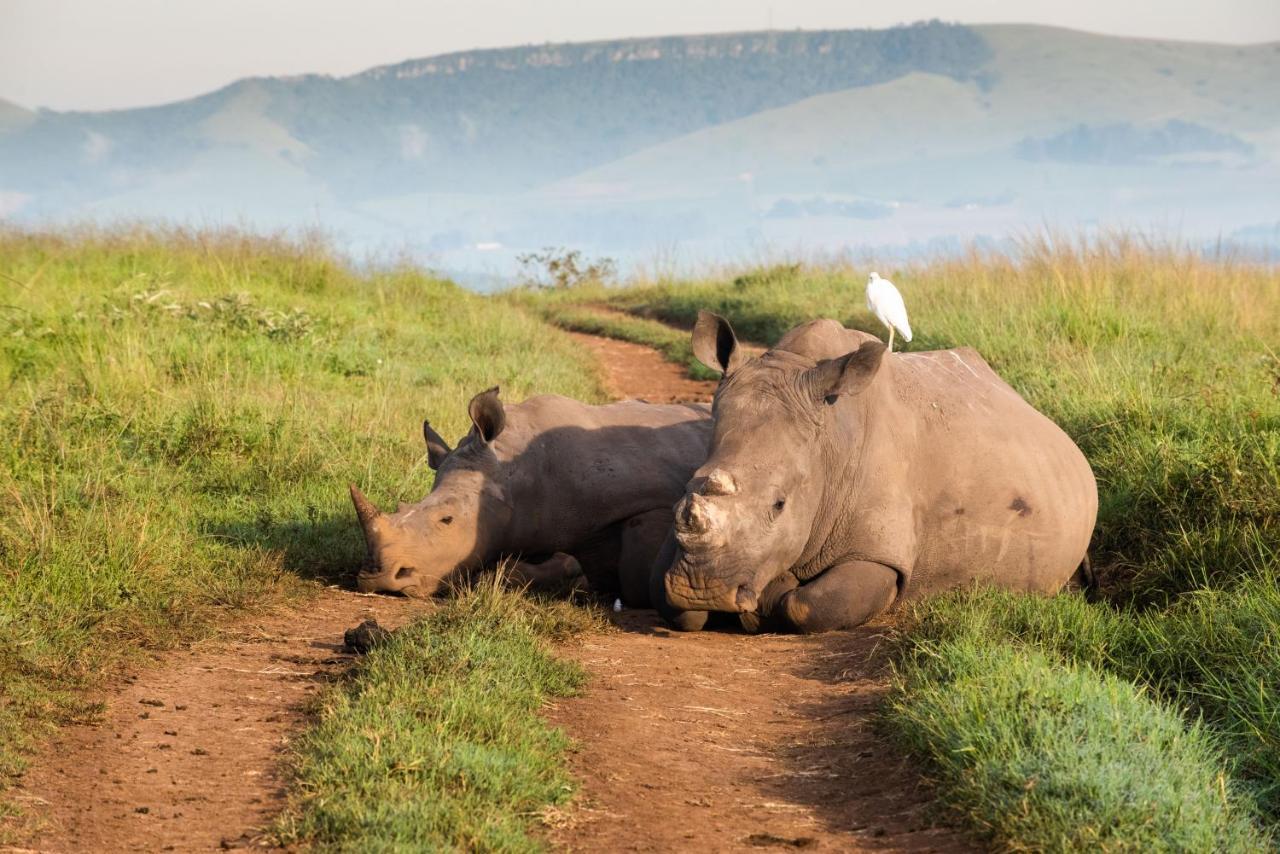 Tala Collection Game Reserve Silverton Luaran gambar