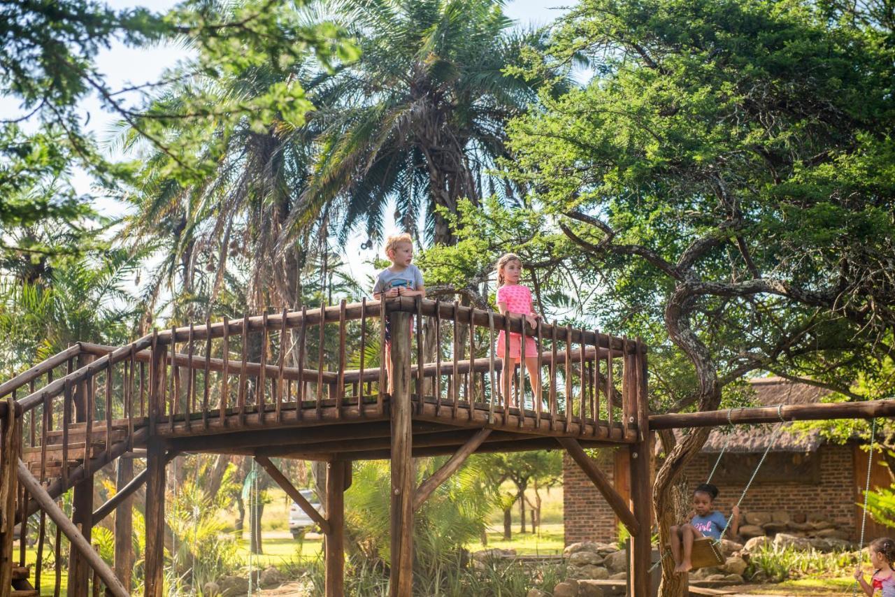 Tala Collection Game Reserve Silverton Luaran gambar