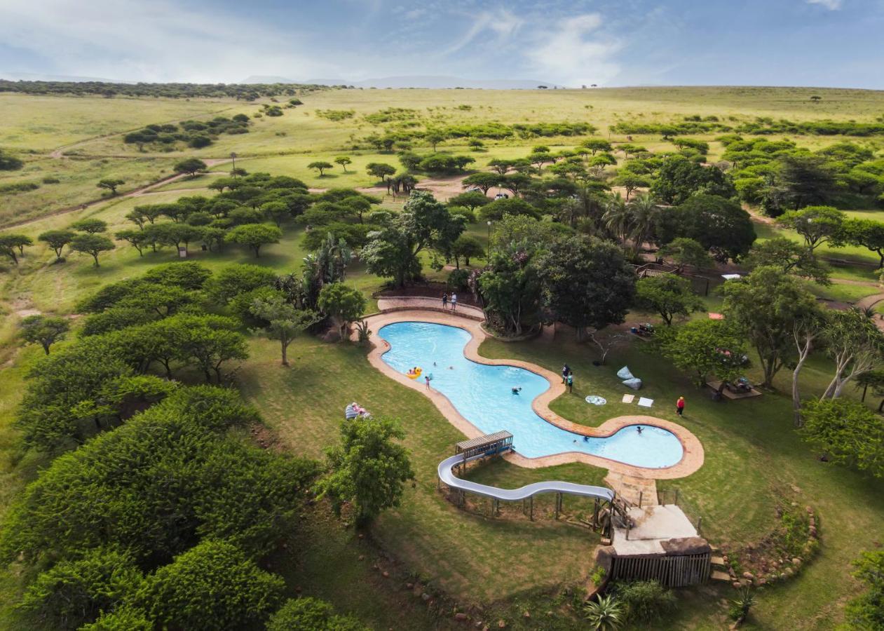Tala Collection Game Reserve Silverton Luaran gambar