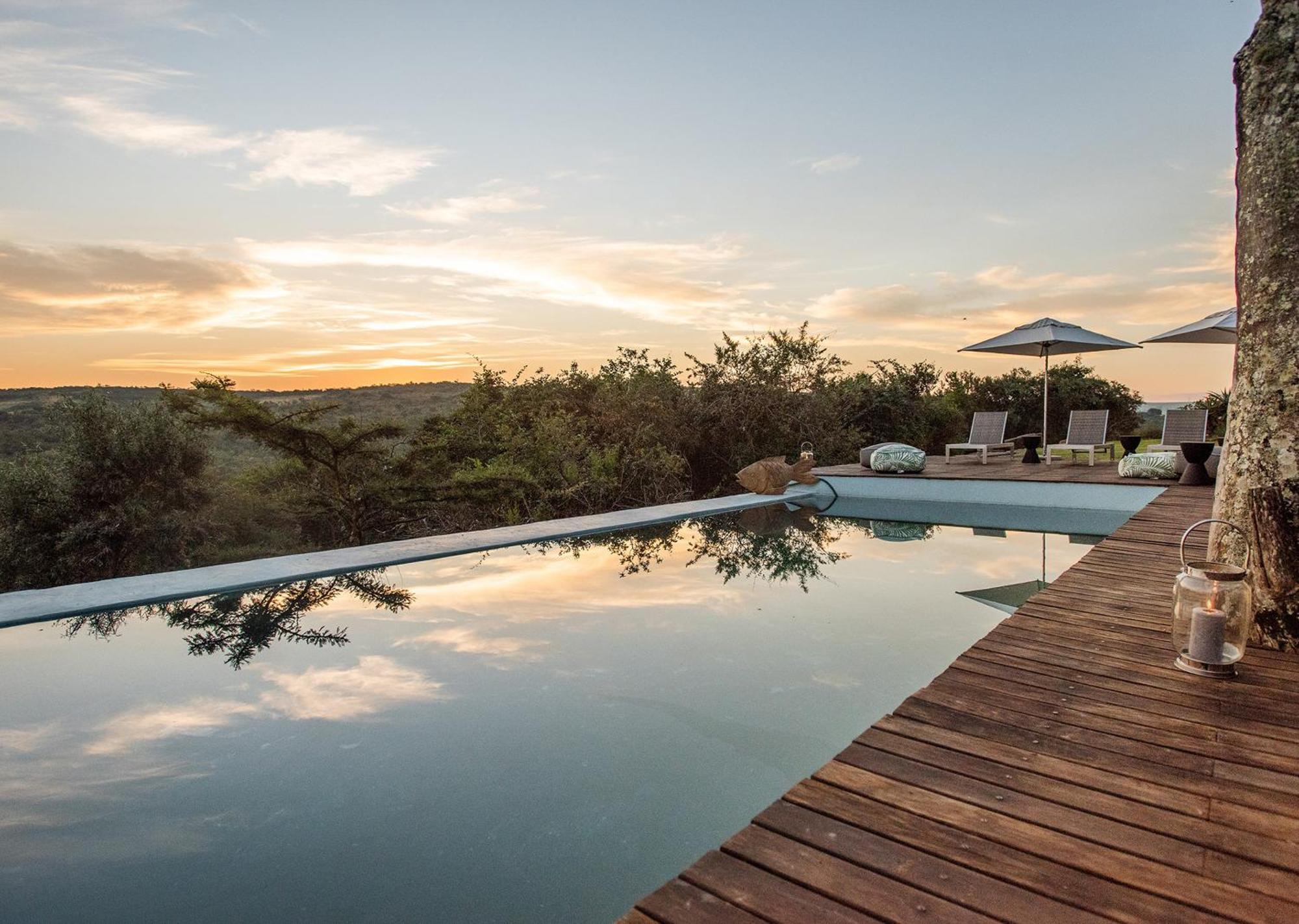 Tala Collection Game Reserve Silverton Luaran gambar
