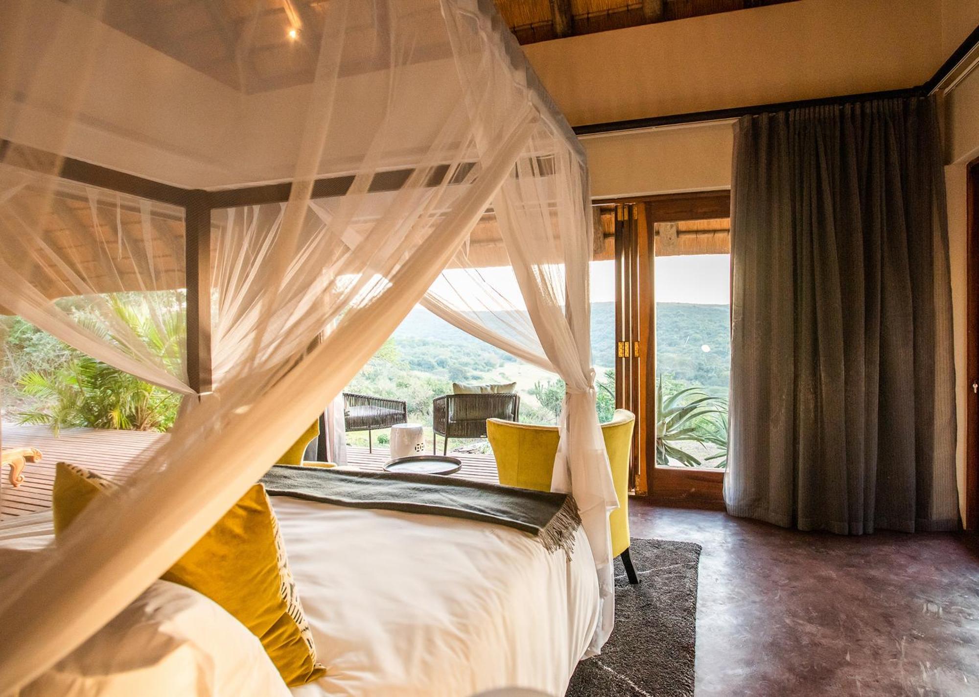 Tala Collection Game Reserve Silverton Luaran gambar