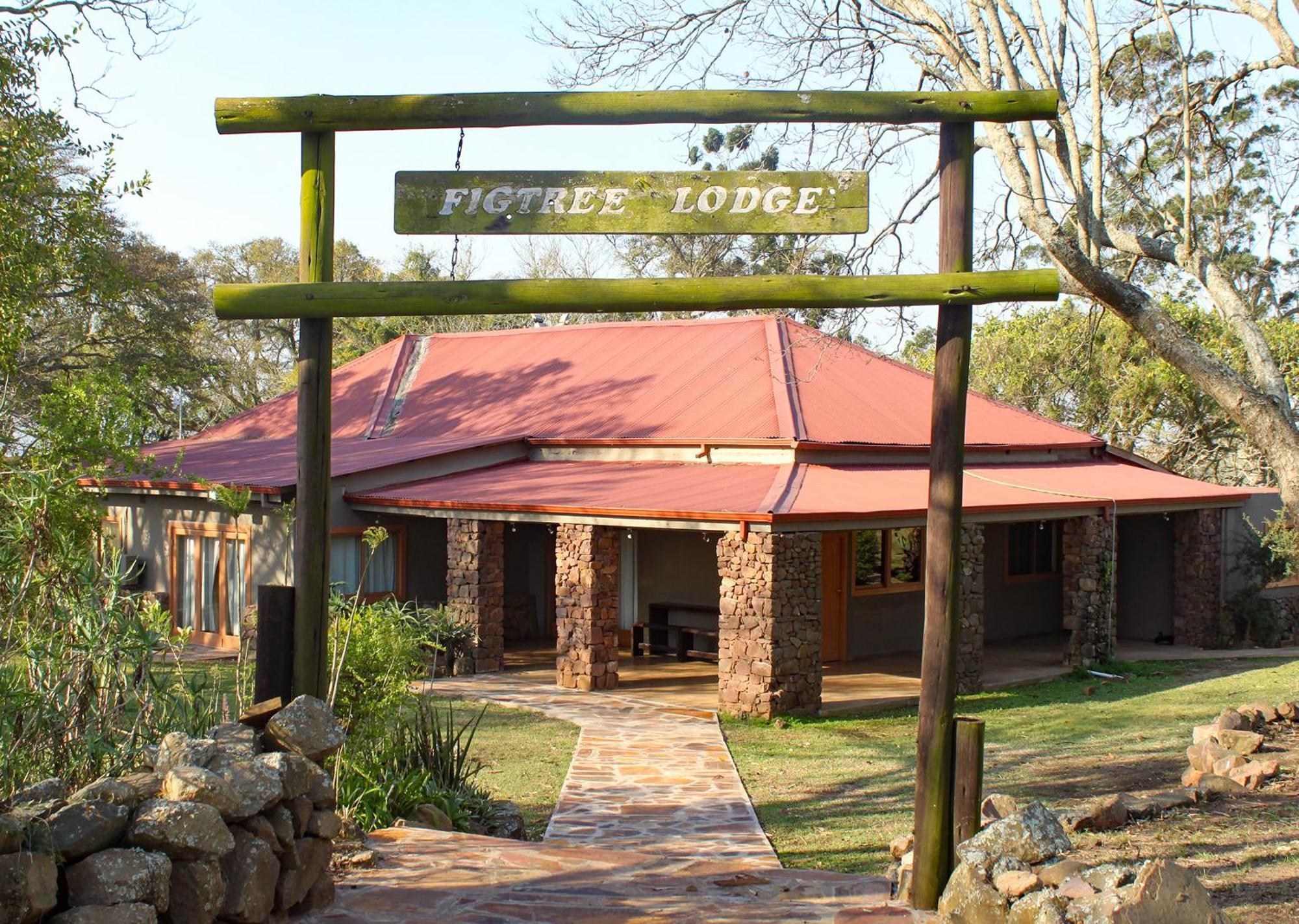 Tala Collection Game Reserve Silverton Luaran gambar