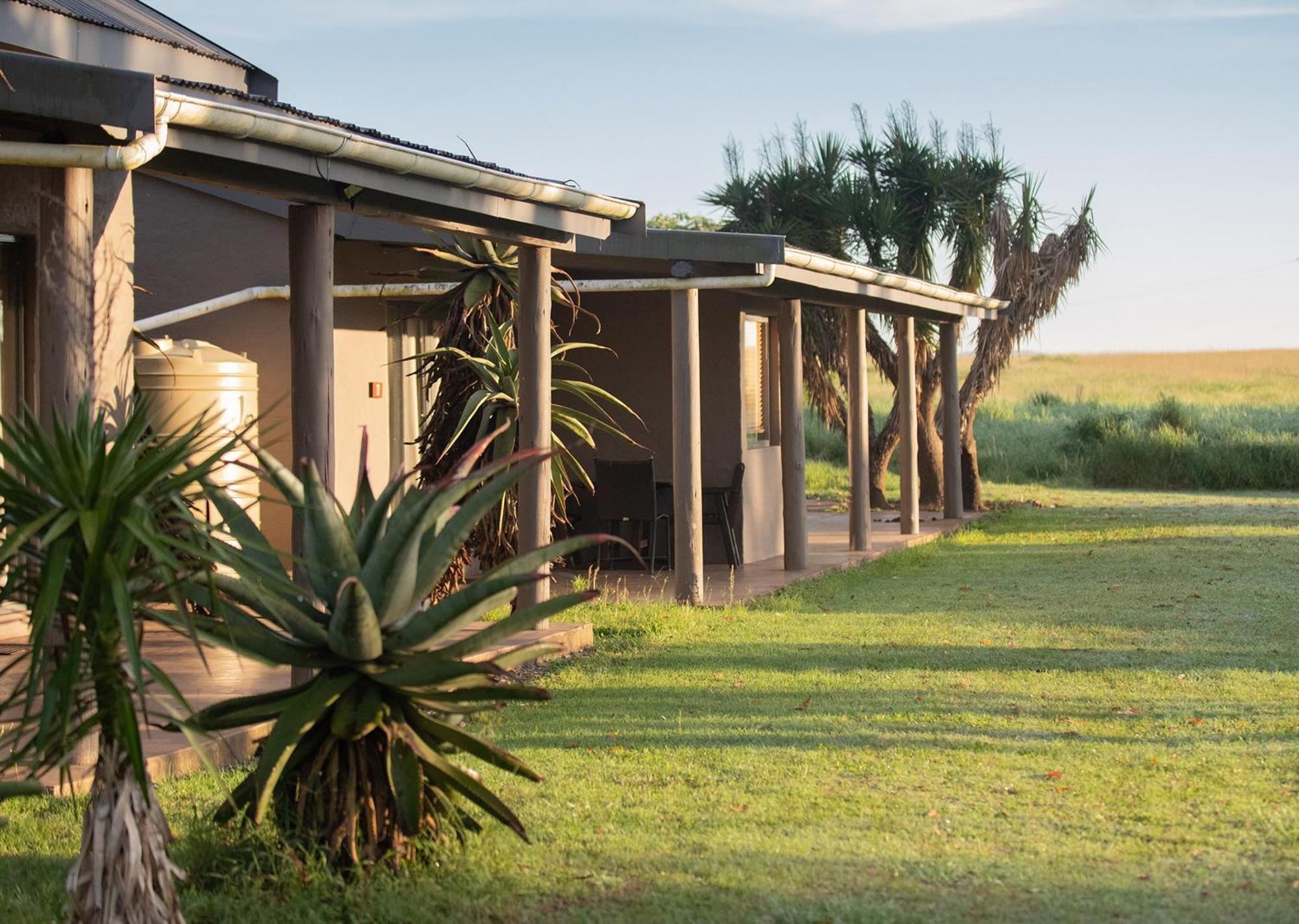 Tala Collection Game Reserve Silverton Luaran gambar