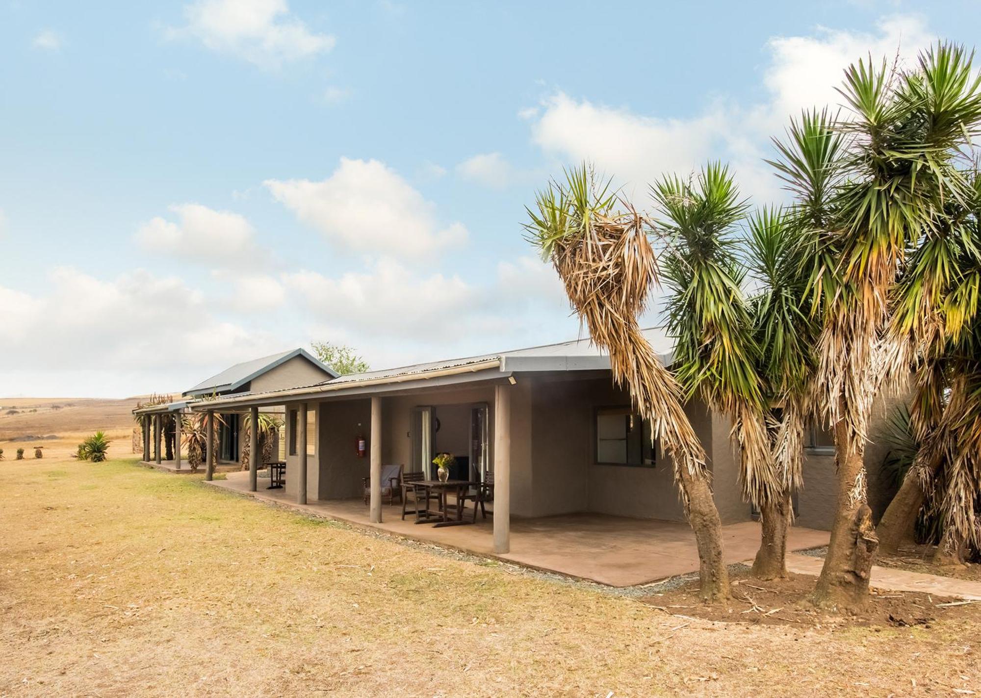 Tala Collection Game Reserve Silverton Luaran gambar